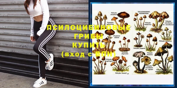 гашик Мегион