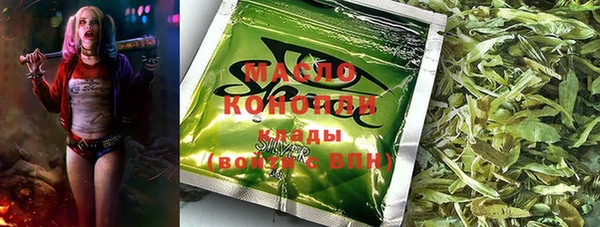 гашик Мегион