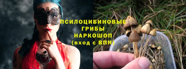гашик Мегион