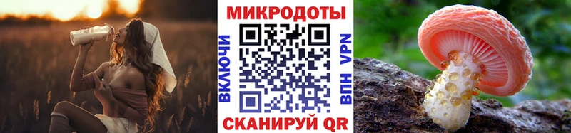 Галлюциногенные грибы ЛСД  цена   Юрга 